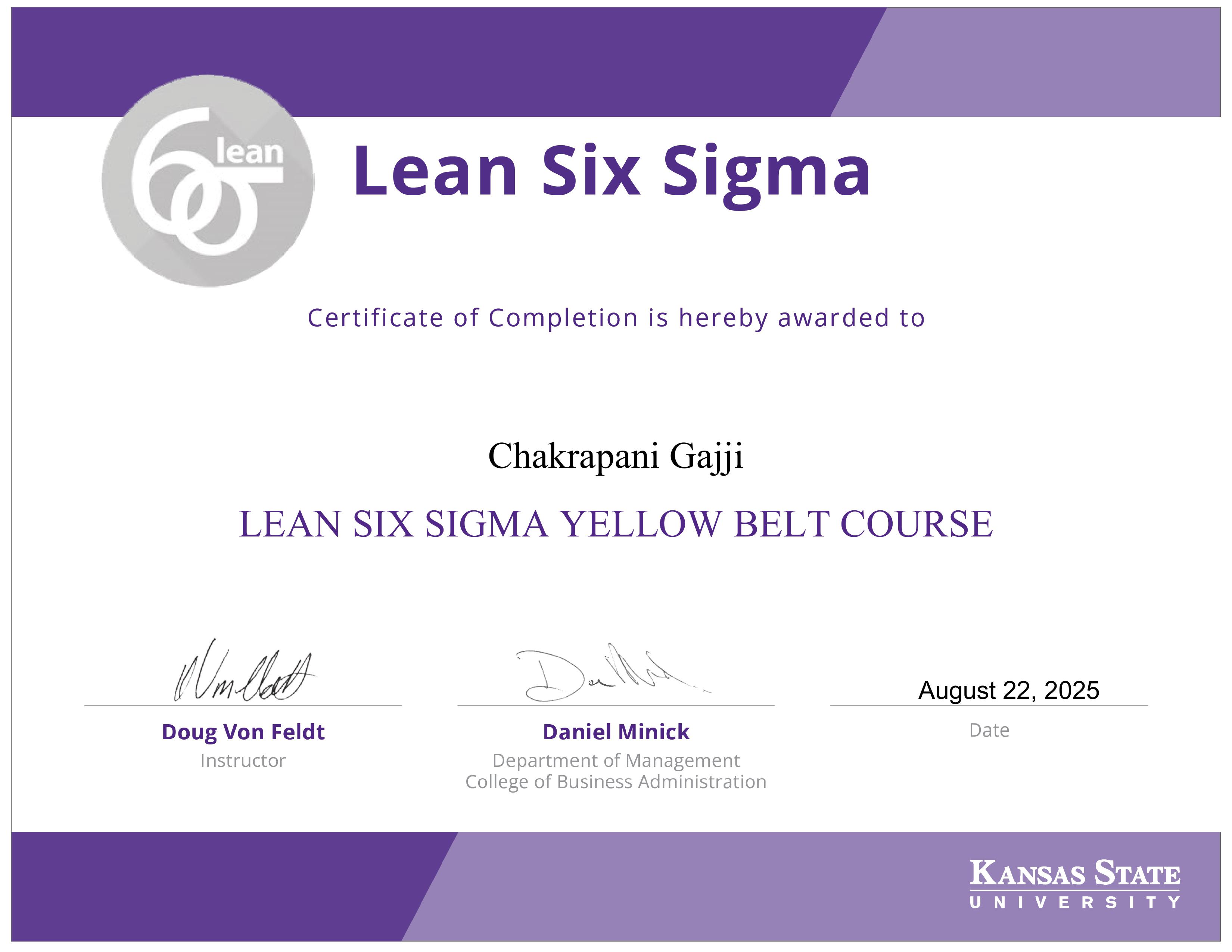 Lean Six Sigma